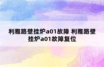 利雅路壁挂炉a01故障 利雅路壁挂炉a01故障复位